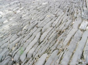 圖11“魚鱗石”