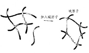 圖4 橡膠的硫化示意圖