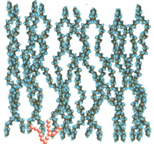 </br> 圖6 聚合物的分子結(jié)構(gòu)