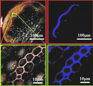 0U3G72TNAWGBDW@CWLP9YLH