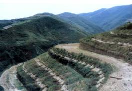 ����ˮƽ���� 