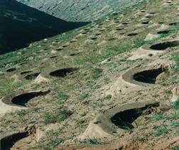 �~�[�ӂ�(c��)��