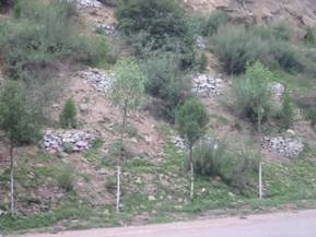 �~�[��ֲ��