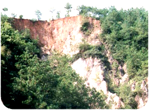 �������g��������