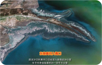 �S������ڣ��l(w��i)���R�^��