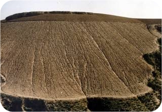 �µؼӄ�ˮ����ʧ