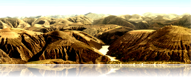 �������g