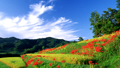 ���ϵ�Ը������ɽ׃�G��ˮ׃�� 