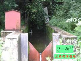 �����α�����