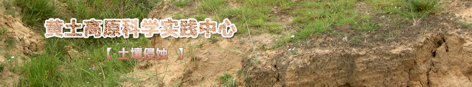 �������g