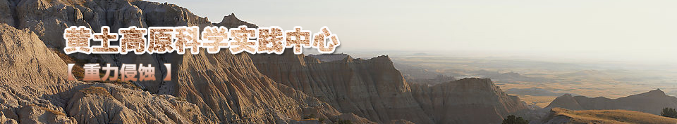 �������g