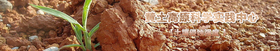 �������g��(qi��ng)��