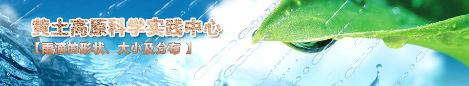 ��ε��Π�����С���ֲ�