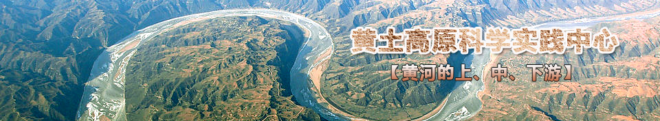 �S�ӵ������С�����