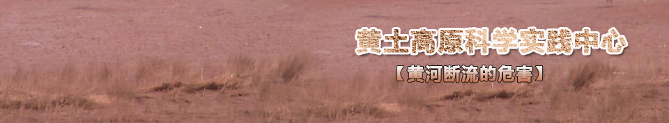 �S�Ӕ�����Σ��