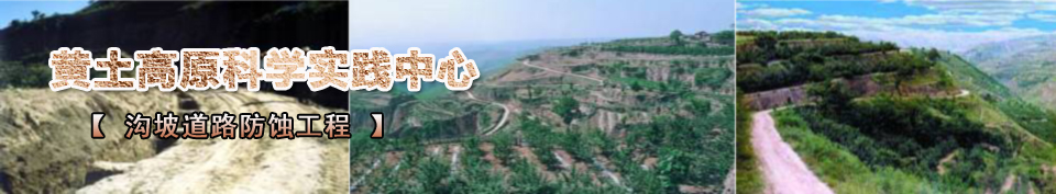 ���µ�·���g����