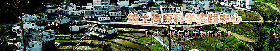 ˮ�����ֵ������ʩ 