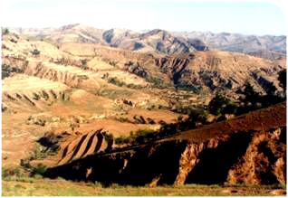 �������������ӄ��ɺ� 