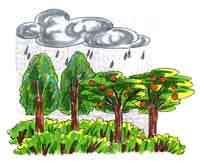 �Y�x����ֲ�������r(n��ng)����͘�N