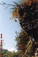 ���������£����»��^�mʢ�_�����ݮ��z��