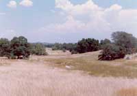 �������_����