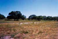 �Ĵ�������Ȼ�ݵ�