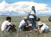 �^�y��������