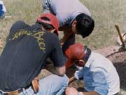 �ɼ�΢�����Ʒ