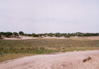 ������˹ɳ��