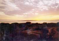 �S�������޳�ϼ