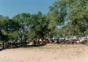 �����_��ɳ�ػ����¶ɳ��