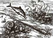 生機(jī)勃勃的原始海洋生物