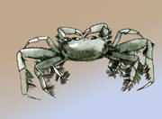 ��������(qi��ng)з