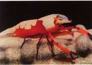 Ҳ�Q�I�r���ֲ����҇��Ϻ��ȟᎧ����