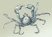 ���~���~з