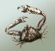 ���L��(ji��)��з