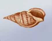 �v�߿��y��