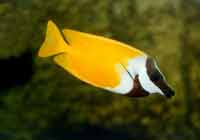 ���@���~