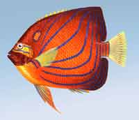 ��h(hu��n)���w�~(y��)