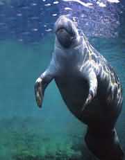 ��ª��׾������