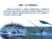 ��(d��)���L