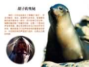 ���ӵĊW��