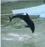 ˮ���^��ĺ���