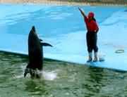 ��Ӗ���ˆT���������������������ʱ���