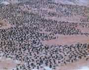 ���Z���ӵ�