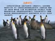 �����Z��