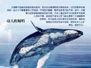 ���˵��L��