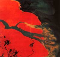 �@���L(zh��ng)���ڼ����K�ϲ��������\ɫ�ĵط��ǜ\����ɳ����