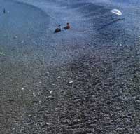 ��ɽȺ�u�Ğ�ʯ��