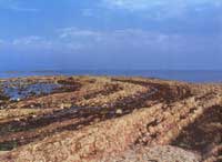 ���B��ʯ�����Π�������������ַQ������